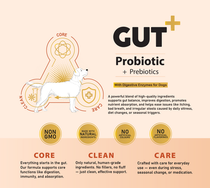 GUT+ Probiotic & Prebiotics