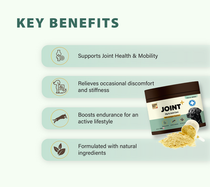 Joint+ Hip & Joint Care