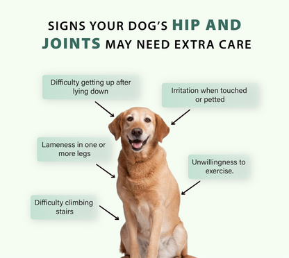 Joint+ Hip & Joint Care