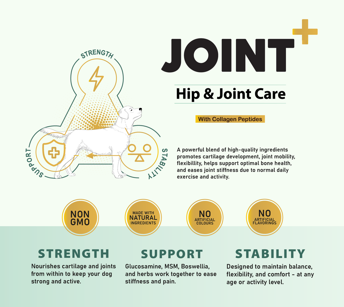 Joint+ Hip & Joint Care