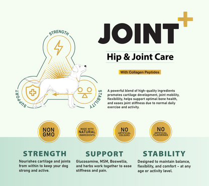 Joint+ Hip & Joint Care