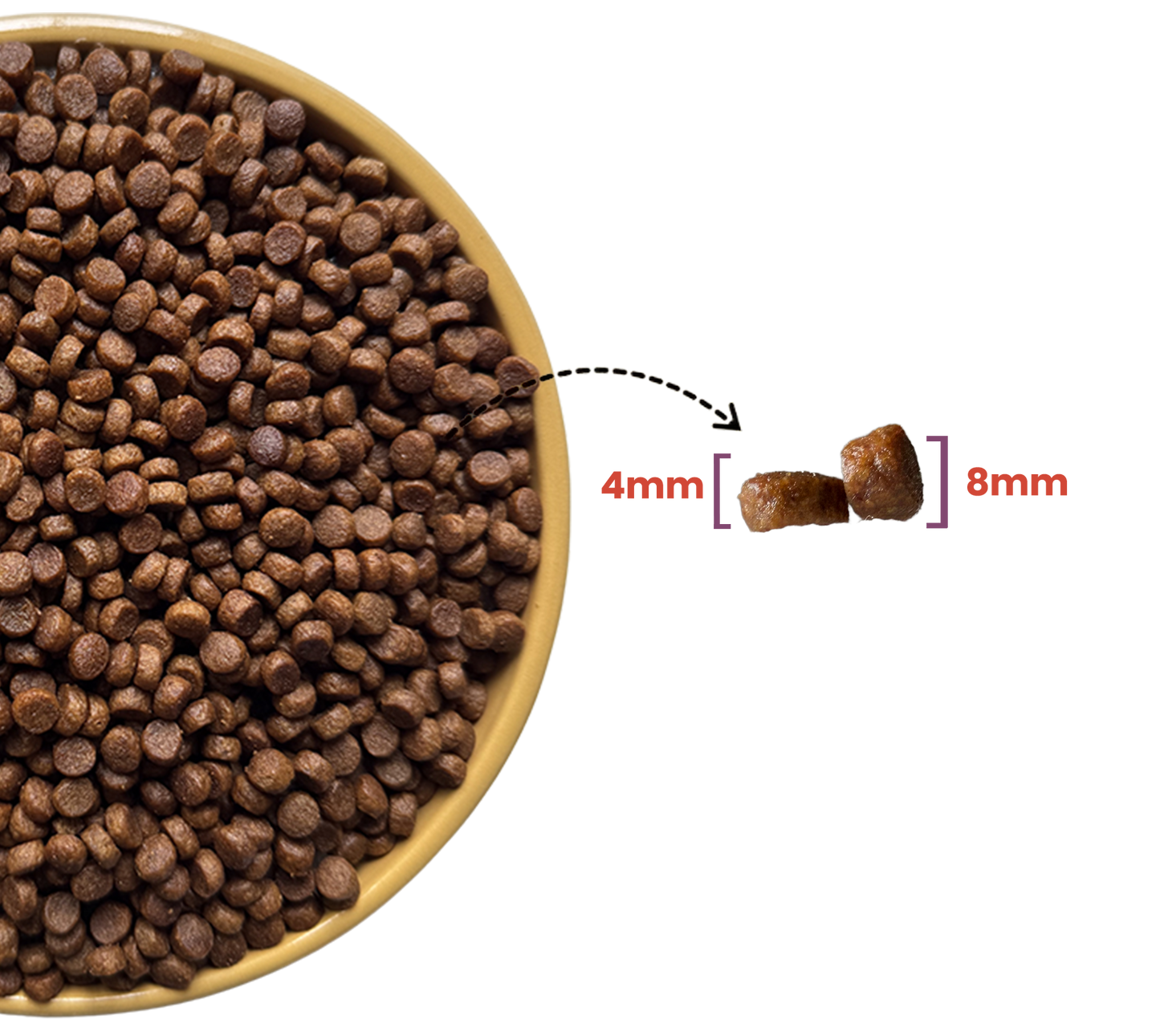 Small & Mini Adult